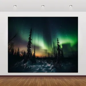 12x10ft Northern Lights Backdrop Photography Aurora Borealis Arctic Snow-Capped Mountains Pine Forest Backdrop Norway Winter Natural Landscape Kids Travel Party Birthday Background Decor