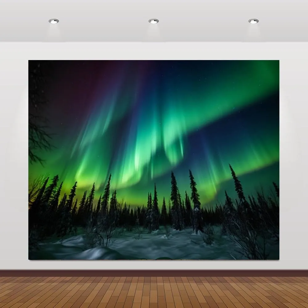 12x10ft Northern Lights Photography Backdrop Aurora Borealis Arctic Snow-Capped Mountains Forest Photo Backdrop Norway Winter Natural Landscape Kids Travel Party Birthday Background Decor