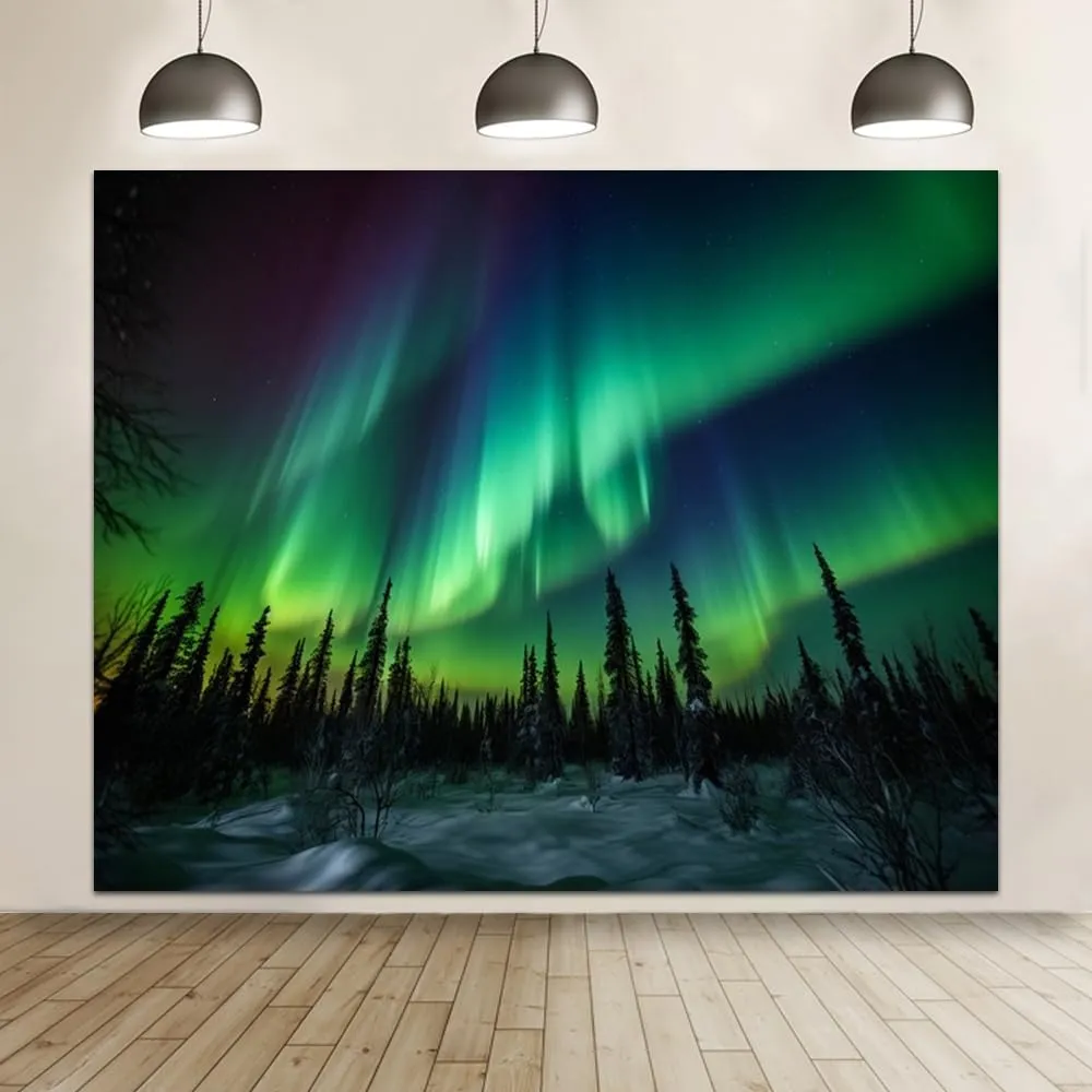 12x10ft Northern Lights Photography Backdrop Aurora Borealis Arctic Snow-Capped Mountains Forest Photo Backdrop Norway Winter Natural Landscape Kids Travel Party Birthday Background Decor