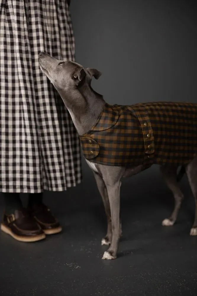 Gingham Organic Cotton Oilskin, Scottish Green