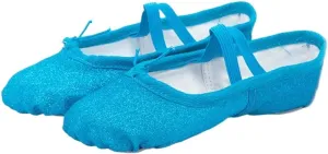 Glitter Ballet Dance Shoes Yoga Gym Flat Slippers Pink Blue Rose Red Colors Ballet Dance Shoes for Girls Children Women Teacher(Blue,24)