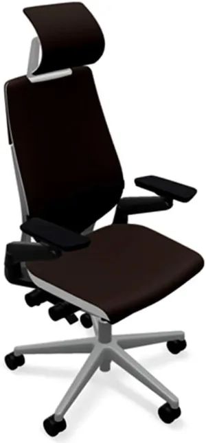Steelcase Gesture Office Desk Chair with Headrest in Elmosoft Genuine Ebony L112 Leather Plus Lumbar Support Platinum Metallic Frame with Seagull Seat/Back Merle Arms (Light/Light)